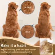 2-in-1 Pet Detangling & Grooming Comb - Image 2