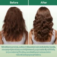 Hair Conditioning Mist Detangling Spray - Image 2