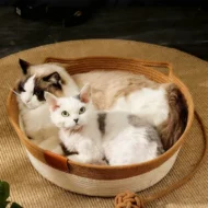 Comfortable Woven Cat Bed for All Seasons - Image 6