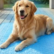 Summer Breathable Pet Cooling Mat - Image 5