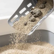 📢📢50% OFF NOW✨Cat Litter Scoop with Trash Can - Image 4