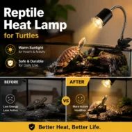 🎁Hot Sale 49% OFF🔥Reptile Heat Lamp for Turtles - Image 2