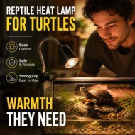 🎁Hot Sale 49% OFF🔥Reptile Heat Lamp for Turtles - Image 18
