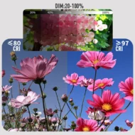 🎁 Hot Sale 49% OFF 🔥60W Outdoor Handheld Portable RGB Fill Light - Image 18