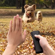 Compact Portable Ultrasonic Dog Deterrent - Image 3