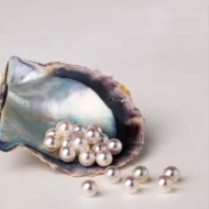 Ladies' High-end Exquisite Handmade Pearl Brooch - Image 13