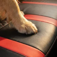 🎁🚗9-Piece Universal Fit Leather Car Seat Cover Set - Image 6