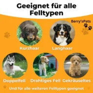 💥Pet🐕Professional brush - Image 3