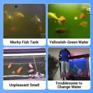 ✨️HOT SALE 49% OFF✨️Powerful Aquarium Water Purification Tablet🌿 - Image 2
