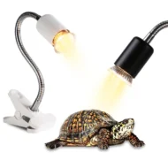 🎁Hot Sale 49% OFF🔥Reptile Heat Lamp for Turtles - Image 5
