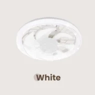 ✨ Summer 50% Price ❄️Remote Control Ceiling Fan with Light - Image 9