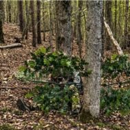 Foldable Hunting Concealment Branch - Image 2