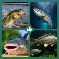 🎣 High Buoyancy Floating Ball Fishing Hook – Floats Naturally, Bites Instantly! 🐟💧 Keeps bait at the perfect depth – more strikes, less waiting. 🔴⚡ - Image 11