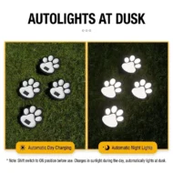 Solar Paw Print Garden Lights - Image 4