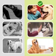 Compact Portable Ultrasonic Dog Deterrent - Image 2