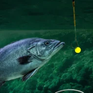 🎣 High Buoyancy Floating Ball Fishing Hook – Floats Naturally, Bites Instantly! 🐟💧 Keeps bait at the perfect depth – more strikes, less waiting. 🔴⚡ - Image 7