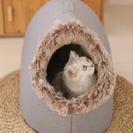 💥Hot sale 🐶🐱Pet Cozy Warm Cave Bed - Image 16