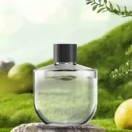 Multifunctional Car Diffuser Purifier with Star Projector - Image 13