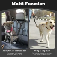 🔥Buy more save more🎁2-in-1 Dog Car Seat Belt & Walking Leash - Image 5
