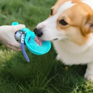 Foldable Pet Water Bottle for Travel - Image 7