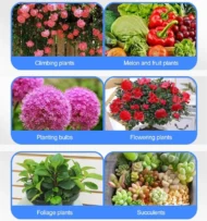 Universal nutrient solution for flowering potted plants - Image 9