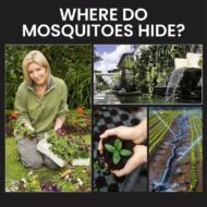 ☀️Solar Mosquito Zapper Light ✨– Outdoor Garden Stake Lamp, UV Insect Killer & Solar Pathway Light🦟🚫 - Image 5