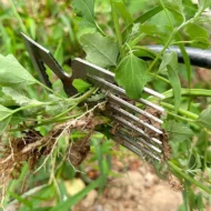 Manual Weed Remover Tool for Lawn and Garden - Image 5