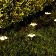 Solar Paw Print Garden Lights - Image 3