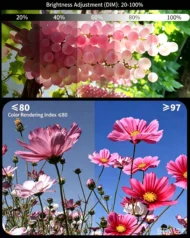 🎁 Hot Sale 49% OFF 🔥60W Outdoor Handheld Portable RGB Fill Light - Image 15