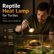 🎁Hot Sale 49% OFF🔥Reptile Heat Lamp for Turtles - Image 17