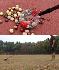 A miracle tool for quickly gathering walnuts, chestnuts, and dried fruit - Image 7