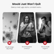 🔥2026 Hot Sale🔥Highly Effective Mould Removal Spray - Prevents Mould Regrowth - Image 2
