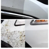 ⏳Limited Time 50% Off💥Bug Remover for Cars Exterior - Image 2