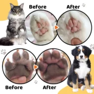 🎉⏰ Limited-time offer today only! 💥⏳Waterproof Rechargeable Pet Shaver with LED Light - Image 9