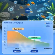 ✨️HOT SALE 49% OFF✨️Powerful Aquarium Water Purification Tablet🌿 - Image 6
