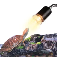 🎁Hot Sale 49% OFF🔥Reptile Heat Lamp for Turtles - Image 4
