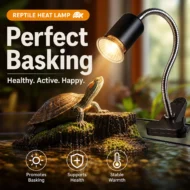 🎁Hot Sale 49% OFF🔥Reptile Heat Lamp for Turtles