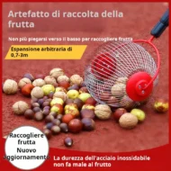 A miracle tool for quickly gathering walnuts, chestnuts, and dried fruit - Image 5