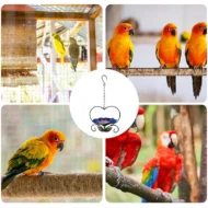 Outdoor Hanging Heart-Shaped Bird Feeder - Image 7
