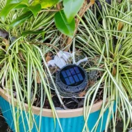🌤️Solar-Powered Waterproof Outdoor Decorative Light✨ - Image 7
