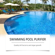 💧 Swimming Pool Purifying Liquid – Crystal Clear Water, Zero Hassle! ✨ Say goodbye to green water & harsh chemicals – just pure, fresh swimming every time. 🏊‍♂️💙 - Image 15