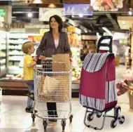 Large Capacity Portable Folding Stair Climbable Cart - Image 7