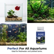 Fish Tank Algae Remover Tablets for Clear Water - Image 6