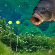 🎣 High Buoyancy Floating Ball Fishing Hook – Floats Naturally, Bites Instantly! 🐟💧 Keeps bait at the perfect depth – more strikes, less waiting. 🔴⚡ - Image 4
