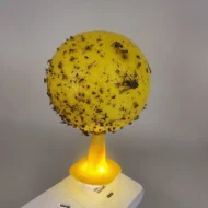 Sticky Fruit Fly Trap Ball with Stand & LED - Image 11