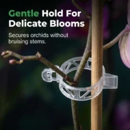🧷 51% OFF NOW ! ⚡ 100 PCS Quick-Lock Plant Support Clips – Sturdy Support, Easy Install & Reusable Design 🌱 - Image 3
