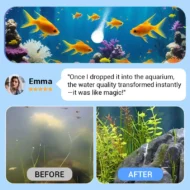 ✨️HOT SALE 49% OFF✨️Powerful Aquarium Water Purification Tablet🌿 - Image 3