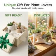 Quirky Ceramic Planter for Desktop Decor - Image 10