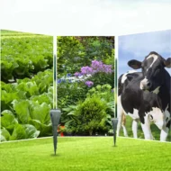 Hot Sale 50% OFF☘️Solar Powered Waterproof Animal Repellent - Image 5